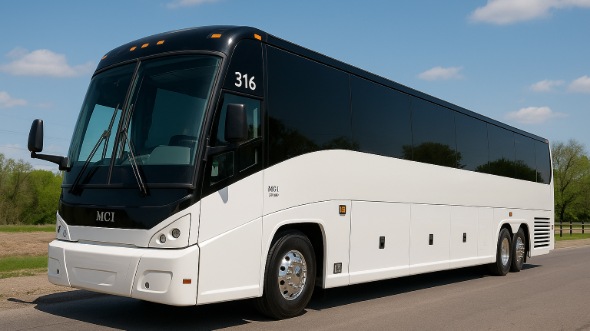 euclid summer camp transportation and bus rentals